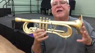 Video thumbnail for Monette Flumpet SN# 1399 Gold Brush by HornTrader