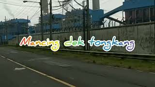 Download lagu galau burung manceng||lagunah dek tongkang || dekyeh mun bendeh kenik lekk😭😭balik belih🤭🤭 mp3