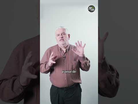 La importancia de la avicultura en el consumo de carnes de la Argentina