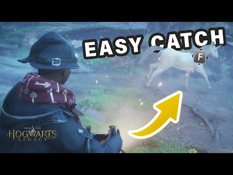 How to EASILY Catch Any Beast | Like Unicorns ► Hogwarts Legacy