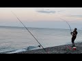 In PESCA Ci Provo Per 3 Giorni DIVERSE CATTURE Momenti Si E NO