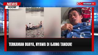 Buaya 5 Meter Terkam Nelayan, 12 Luka Gigitan