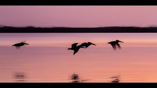 Dan Fogelberg - Part of the Plan