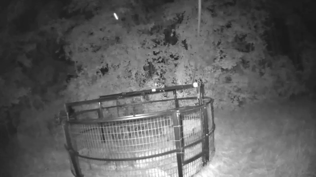 Testing the round BIG PIG TRAP.  Site number 2