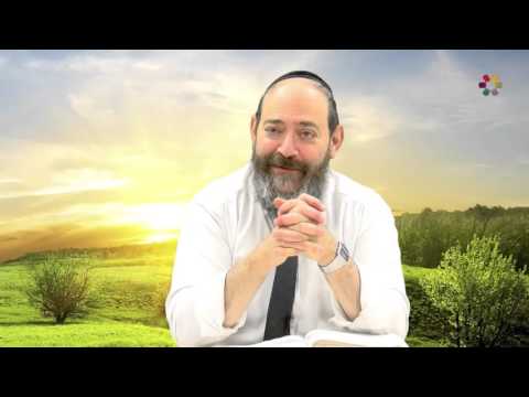 Rabbi David Kaplan - Weekly Torah Portion: Vayigash - Part 1