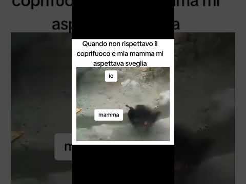 Quando non rispettavo il coprifuoco e mia mamma rimaneva sveglia per aspettarmi 😭