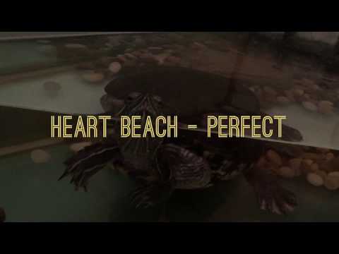 HEART BEACH - Perfect