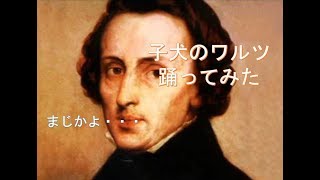 [バレエじゃないよ]子犬のワルツで極限までウェーブ！！ dancing to "Chopin Minute Waltz" | ダブステップダンス・ポップ・タットはピアノでも踊れるのか？
