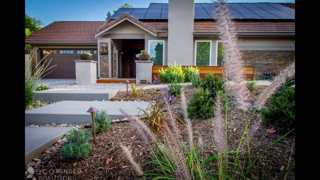 Drought Tolerant Landscape Ideas