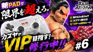 【スマブラSP】新PADにも慣れてきた！カズヤでVIP目指す #6
