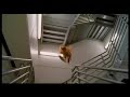 Garfield The Movie Short Teaser Trailer