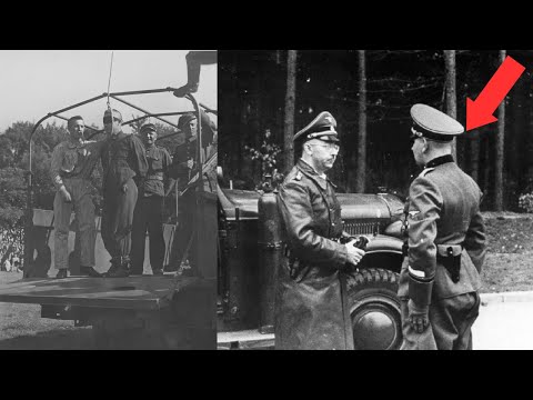 The RUTHLESS Execution Of The Commandant Of Stutthof Concentration Camp