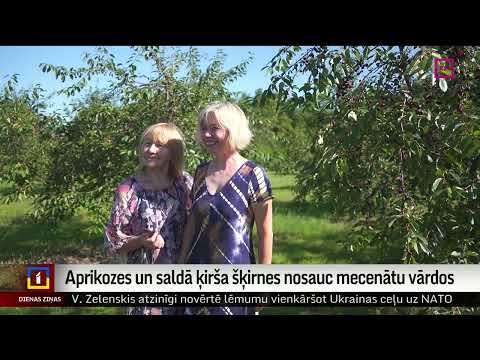 Aprikozes un saldā ķirša šķirnes nosauc mecenātu vārdos