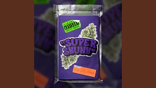 Super Skunk Music Video