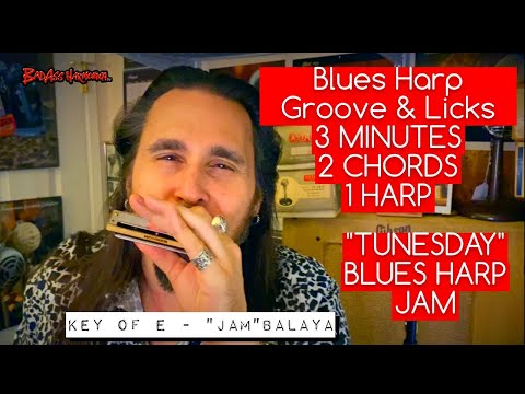 How To Not Suck on 2 Chords with 1 Blues Harmonica!  Key of E Blues Harmonica Jam -  Tunesday 57