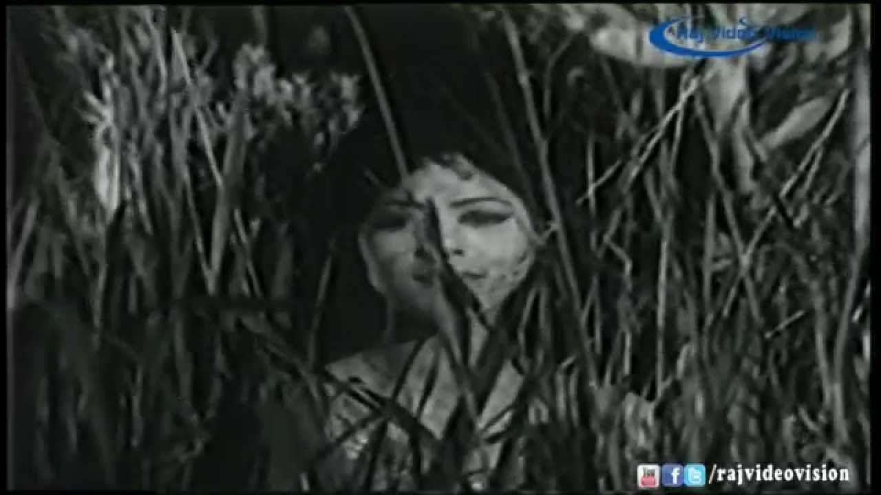 Malar Pol Siripathu Song Lyrics | Sollathan Ninaikkiren | Vani Jairam