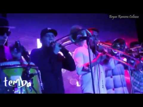 MAYIMBE   Vuelvete Loca   Barbaro Fines1