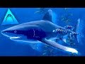 SHARKS HAVE FRIENDS!!! - Depth | Ep17 HD