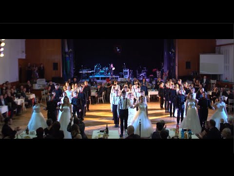 ŠKOLNÍ PLES ČÁPOVKA 2020