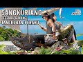 Sangkuriang Legenda Gunung Tangkuban Perahu Cerita Rakyat Jawa Barat Kisah Nusantara