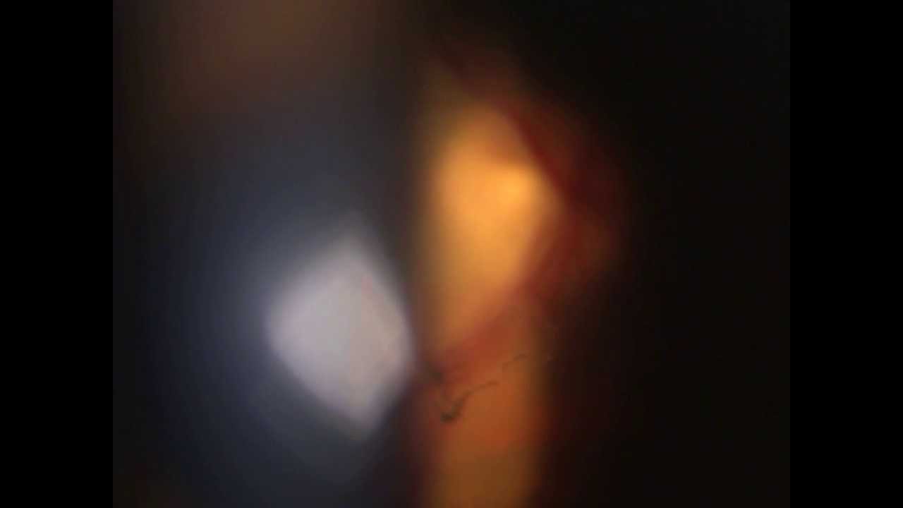 Hector Dario Forero Angel-53