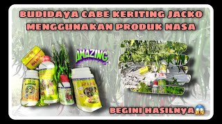 Download lagu JUAL PAKET PUPUK NASA UNTUK CABE KERITING DI SUMATRA BARAT ORDER 0813 2600 3577 mp3 Download lagu JUAL PAKET PUPUK NASA UNTUK CABE KERITING DI SUMATRA BARAT ORDER 0813 2600 3577 mp3