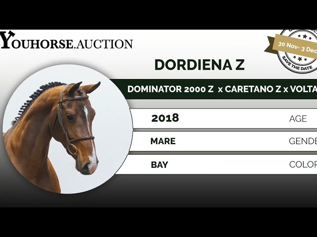 Dordiena dressagevideo