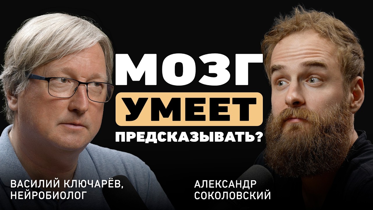 Что опаснее: думать долго или делать быстро? Нейробиолог Ключарёв - о приняти