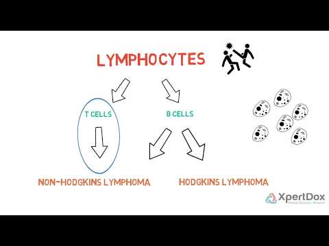 T Cell Lymphoma