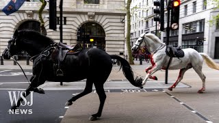 Watch: King’s Horses Run Amok Across London During Rush Hour | WSJ News