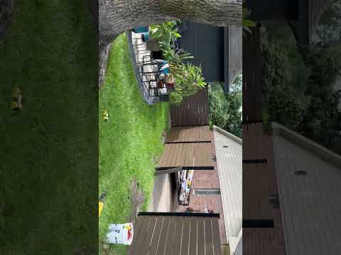 6’ Vinyl Horizontal Fencing #fencebuilder #privacyfencing #fenceinstallation #leaguecitytx