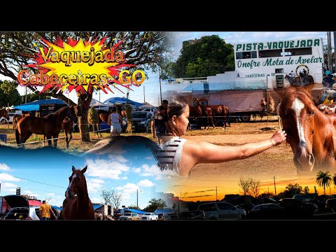 III Vaquejada de Cabeceiras do Goiás, confira como foi!🐎