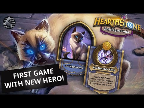 Mr Bigglesworth Gameplay! 1st place on the ever first game! - Hearthstone Battlegrounds