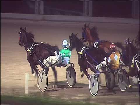 Trotto 13/12/2019 - 8ª corsa