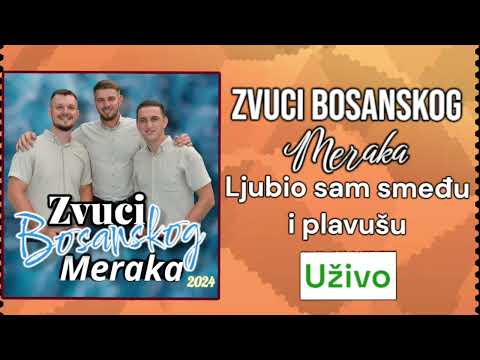Zvuci Bosanskog Meraka 2025 - Ljubio sam smeđu i plavušu [Uživo]