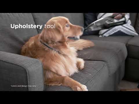Rankinis dulkių siurblys Bissell Pet Hair Eraser video