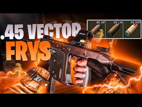 .45 VECTOR FRYS (GUN BUILD) - Escape From Tarkov