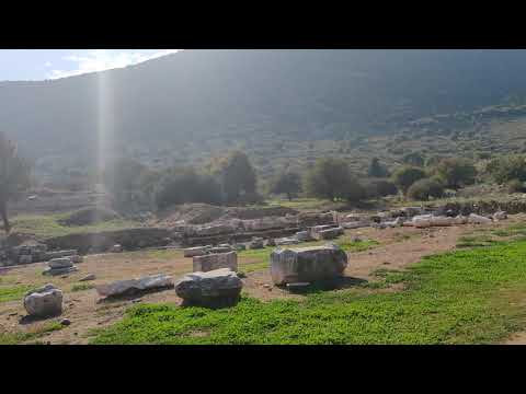 YouTube Preview Image