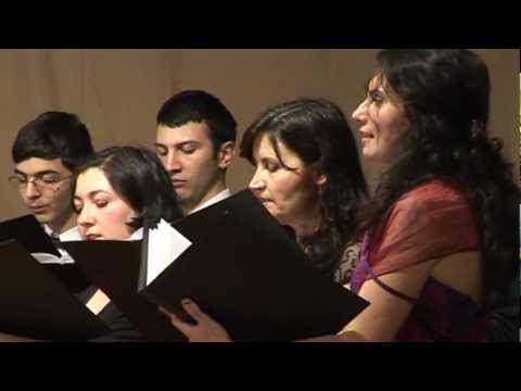 Solemnis - Sarba pe loc