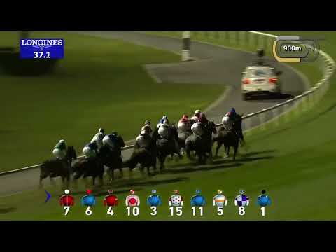 Race 1/6 R6 /James Doyle  /Al Suhail /Age6  /Sire:Dubawi @T.Charie ApplebyMEYDAN 1200m