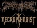 Necrophagist-Advanced Corpse Tumor