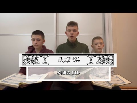 Sura Fil (Elem tere kejfe)