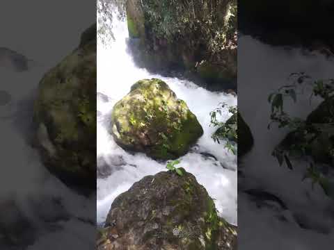 Nacimiento de Río Blanco Chiquito en el municipio de Aguacatán, Huehuetenango, Guatemala.