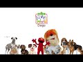 Elmo S World Dogs