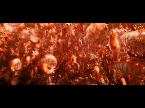 Делай ноги 2 - Трейлер