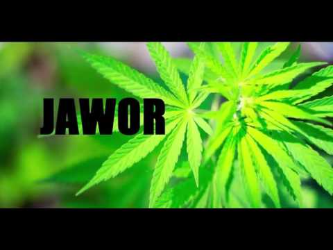 Jawor - Krusz i kręć