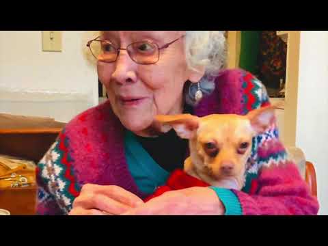 Jane’s Haida Phrases: “X̱áay áangaa gudangáay k'ujúugang - My Dog Is Very Cute”