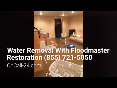 Water Removal With Floodmaster Restoration  Illinois 60020 IL