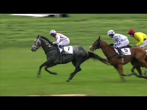 PE, 25. 5. 2019, 6. dostih - Cena za podpory PREMIN