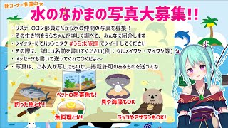 【竜宮うら】今日は勤労感謝の日うららいぶ〜！お話とかお歌とか【ニート系Vtuberおとりざ和編】#うららいぶ